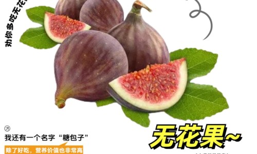 莲芝消炎滴丸吃上几天见效-莲芝消炎滴丸十大忌讳事项-莲芝消炎滴丸属于消炎药吗,中国芝莲消炎滴丸禁忌网站